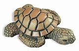 Siro Designs #SD67-118 2.2 Brown Turtle Knob