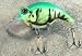 Sporting Goods : JLVLures Shallow Crankbait Green Crawfish : Diver Lures JLV Freshwater Smallmouth Steelhead Pike Salmon Trout Perch Whiper Mid Depth Walleye Casting Bass Hook Treble Bronze Boat Dock Brook Bay Little Stump River Trolling Weed Surface Topwater Shad