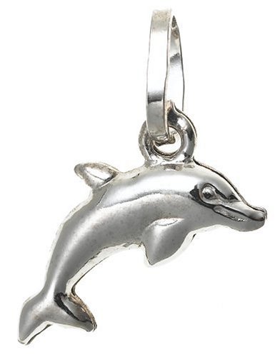 Childrens Toyshop  Jewelry : 14k White Gold Dolphin Charm