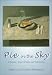 Book Pie in the Sky: A Memoir about Writing and Publishing