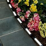 LED Edging, Set of Two