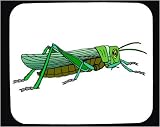 Decorated Mouse Pad with green, insect, grasshopper, crawling, antennae
