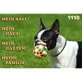 Metall - Warnschild Boston Terrier