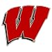 Wisconsin Badgers W NCAA Hitch Cover (Class 3)