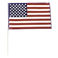 Morris Costumes Flag Plstc Us 1 Flag [Health and Beauty]