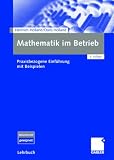 Mathematik im Betrieb. Praxisbezogene Einführung mit Beispielen