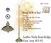 American Lighting 9031FG Leather Shade Down Bridge Floor Lamp