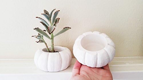 Pumpkin planter, pumpkin dish, pumpkin candle holder, realistic pumpkin