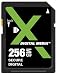 GPS Review : X Digital Media 256MB Secure Digital Card