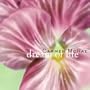 Dream of Life