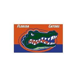 Florida Gators NCAA Premium 11 x 18 Two-Sided Car Flag by BSI Products Inc.