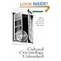 Cultural Criminology Unleashed