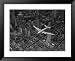 Aerial View of a DC-4 Passenger Plane Flying over Midtown Manhattan Framed Art Poster Print by Margaret Bourke-White, 33x27