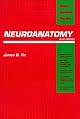 Neuroanatomy