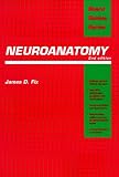 Neuroanatomy
