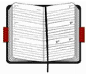 Pocket Diary Weekly 2006