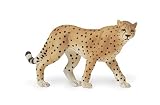 Wild Wild Life Safari: Cheetah Adult 41D7M60v3VL. SL160 Wild Wild Life Safari: Cheetah Adult