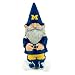 NCAA Michigan Wolverines Garden Gnome