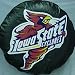 Iowa State University Cyclones black tire cover, Size M