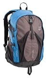 Coleman Exponent Runamuck X35 Panel-Load Daypack,Blue