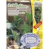 Eigenschaften Chrestensen  / Palmen-Mischung (Portion inkl. Stecketikett)