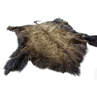 Impressive and Grand Buffalo Hide