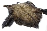 Impressive and Grand Buffalo Hide