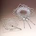 Godinger Set of 4 Crystal Dessert Plates with Forks