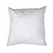 Famous Maker White x 14in Feather/Down Pillow Form
