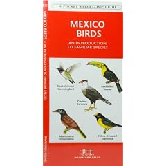 Mexico Birds: An Introduction to Familiar Species (International Nature Guides)