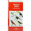 Mexico Birds: An Introduction to Familiar Species (International Nature Guides)