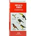Mexico Birds: An Introduction to Familiar Species (International Nature Guides)