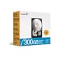 Seagate ST3300631AS-RK 300 GB Barracuda 7200.8 SATA Internal Hard Drive