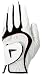 41D86UA860L. SL75  Basic Golf Equipment : Golf Club Faces