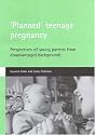 "Planned" Teenage Pregnancy: Perspectives of Young Parents from Disadvantaged Backgrounds