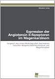 Bild zu: Expression der Angiotensin II-Rezeptoren im Magenkarzinom: Vergleich des immunhistologischen Nachweises zwischen Magenschleimhautbiopsat und Magenresektat