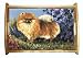 Pomeranian - Large Wooden Serving Tray By Suzanne Renaud