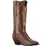 Womens Dan Post 2451J Teju Lizard Boots