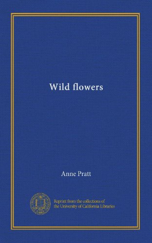 Wild flowers