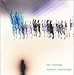 Do It Yourself lyrics Tim Reynolds
