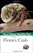 Hermit Crab: Your Happy Healthy Pet