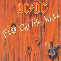 Fly on the Wall [Vinyl]