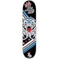 FS Skateboard - Grey (7.6)