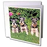 Dogs Schnauzer - Schnauzer - Greeting Cards-6 Greeting Cards with envelopes