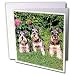   - Dogs Schnauzer - Schnauzer - Greeting Cards-6 Greeting Cards with envelopes