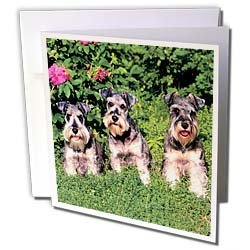 image link - - B000VG56PW
