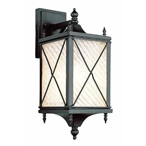 Trans Globe Lighting 5920 BK 17-Inch 1-Light Outdoor Wall Lantern, Black by 