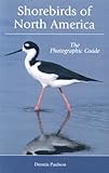 Shorebirds of North America : the photographic guide
