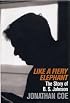 Like A Fiery Elephant: The Story Of B. S. Johnson