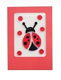 GelGems Grtg Card-Ladybug